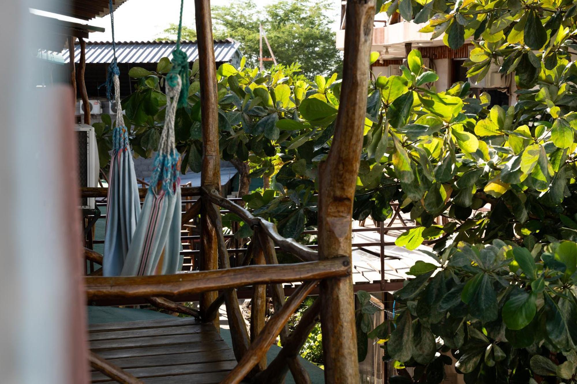 Hotel Miconia Puerto Baquerizo Moreno Extérieur photo